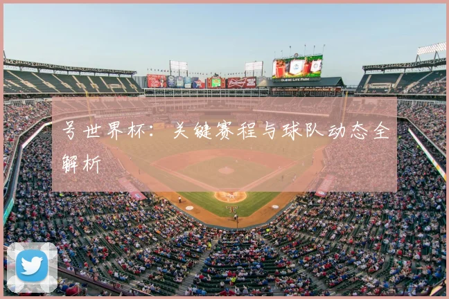号世界杯：关键赛程与球队动态全解析