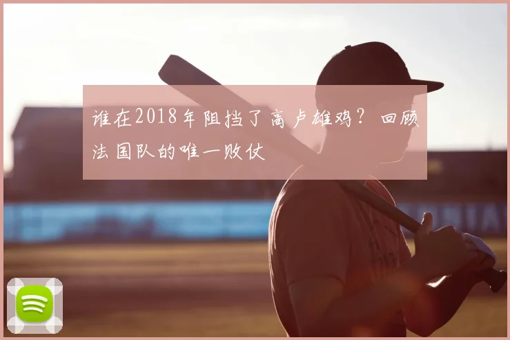 谁在2018年阻挡了高卢雄鸡？回顾法国队的唯一败仗