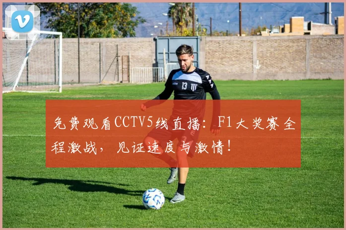 免费观看CCTV5线直播：F1大奖赛全程激战，见证速度与激情！