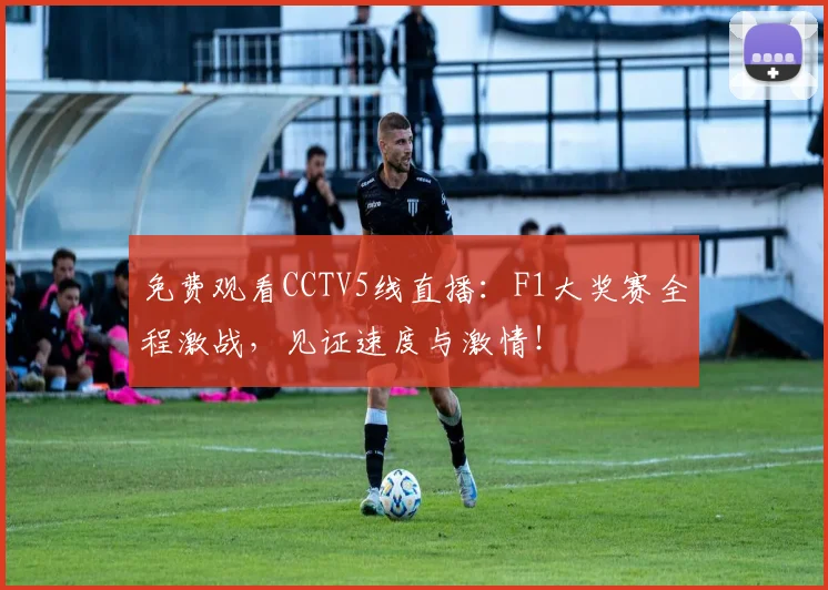 免费观看CCTV5线直播：F1大奖赛全程激战，见证速度与激情！